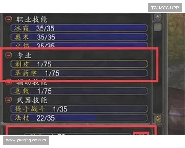 魔兽世界怀旧服骑士:技能打怪,成就无敌 魔兽世界怀旧服骑士:技能打怪,成就无敌